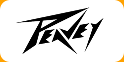Assistência Técnica AMPEG em São Paulo - Assistência Técnica Soul Music - Marcas 03